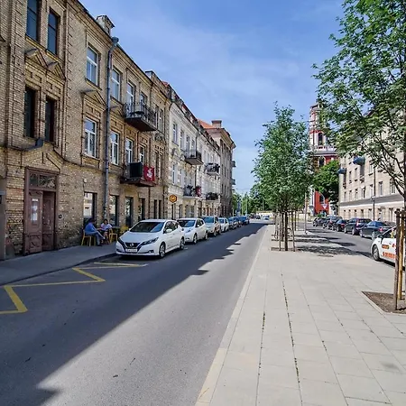 Apartament Spacious And Bright Lukiskiu Square