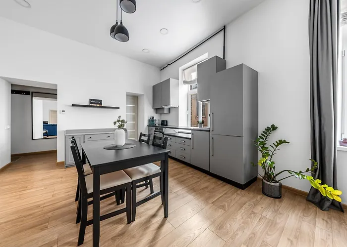 Apartment Spacious And Bright Lukiskiu Square Vilnius