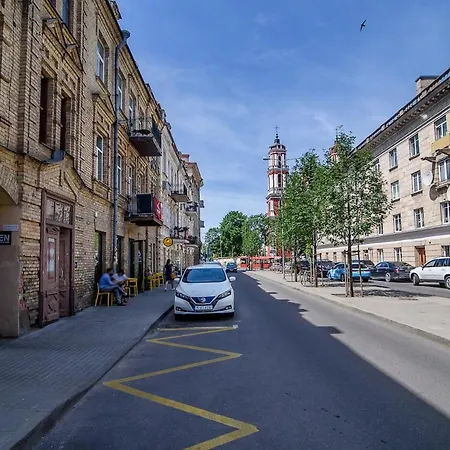 Апартаменты Spacious And Bright Lukiskiu Square