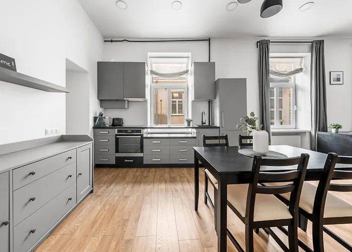 Spacious And Bright Lukiskiu Square